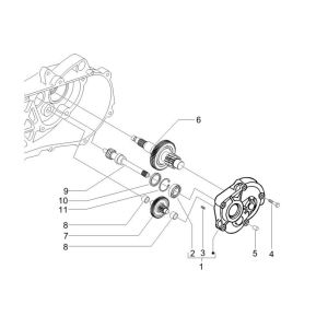 Ingranaggio - Trasmissione Piaggo Zip 50 4 tempi IGET 3V Euro 4