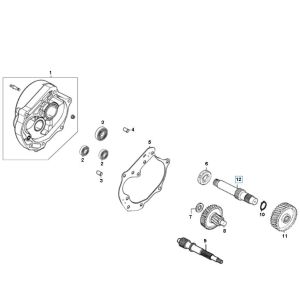 Cuscinetti - Trasmissione Znen ZN50QT-11 4 tempi