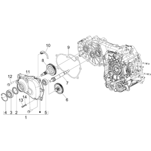 Ingranaggi - Trasmissione Piaggio MP3 300 LT Sport 2009-2014