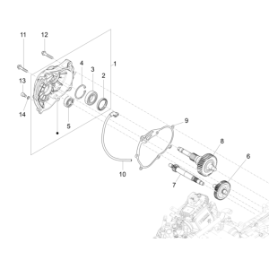 Ingranaggio - Trasmissione Vespa GTS 300 Super HPE 4V IE ABS Euro 5 2020-2022