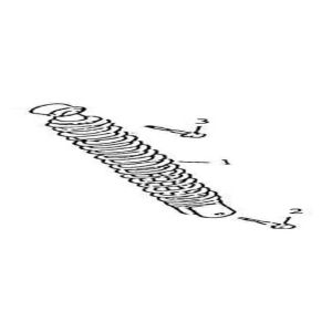 Ammortizzatore AGM GT blu