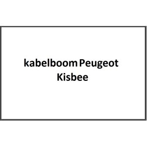 Cablaggio originale Euro 4 Peugeot Kisbee