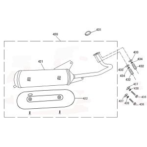 Scarico fumé AGM Swan