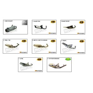 Scarico Beta ARK-Tribe 50 2 tempi AC argento 2009