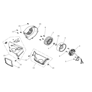 Accensione - statore - volano China Ape 50 marrone