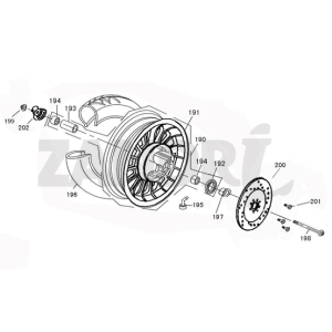 Ruota anteriore Santini Capri marrone