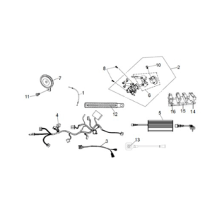 Cablaggio Sym E-Fiddle