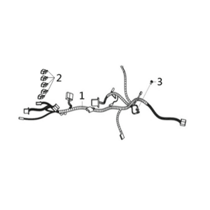 Wire harness Sym Joymax Z 125 E4