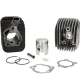 Cilindro con testata -Polini 63 cc Racing diametro 43mm- Piaggio Ciao/Bravo/Boxer (spinotto = diametro 10mm) 140.0065/10R