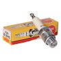 Candela NGK b10hs
